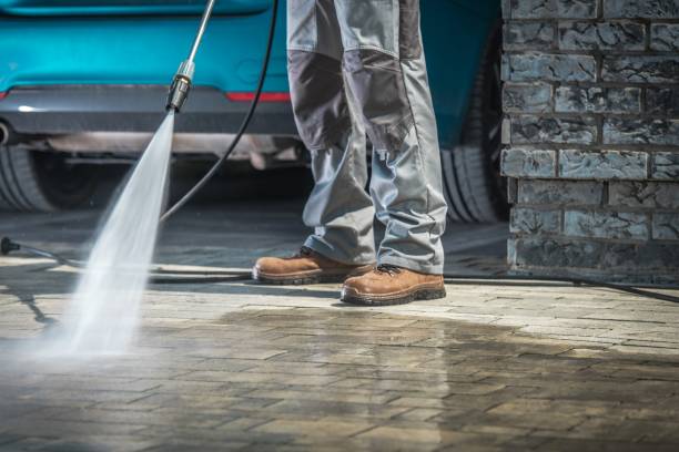 Best Graffiti Removal Services in Porter Heights, TX